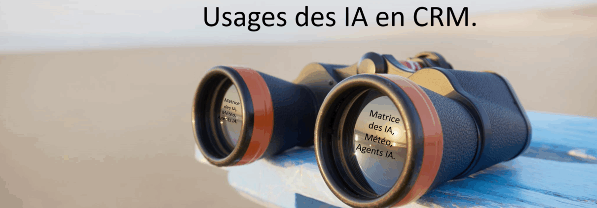 Usage des Ia en CRM