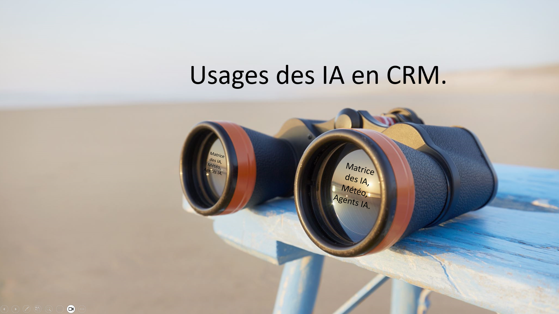 Usage des Ia en CRM